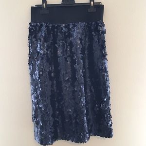 Navy blue sequin skirt